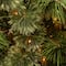 7.5ft. Pre-Lit Wispy Willow Grande Artificial Christmas Tree, Clear Lights